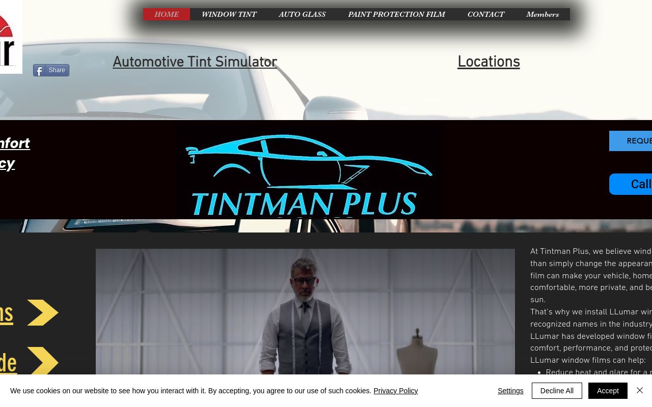 Homepage of Tintman Plus's website