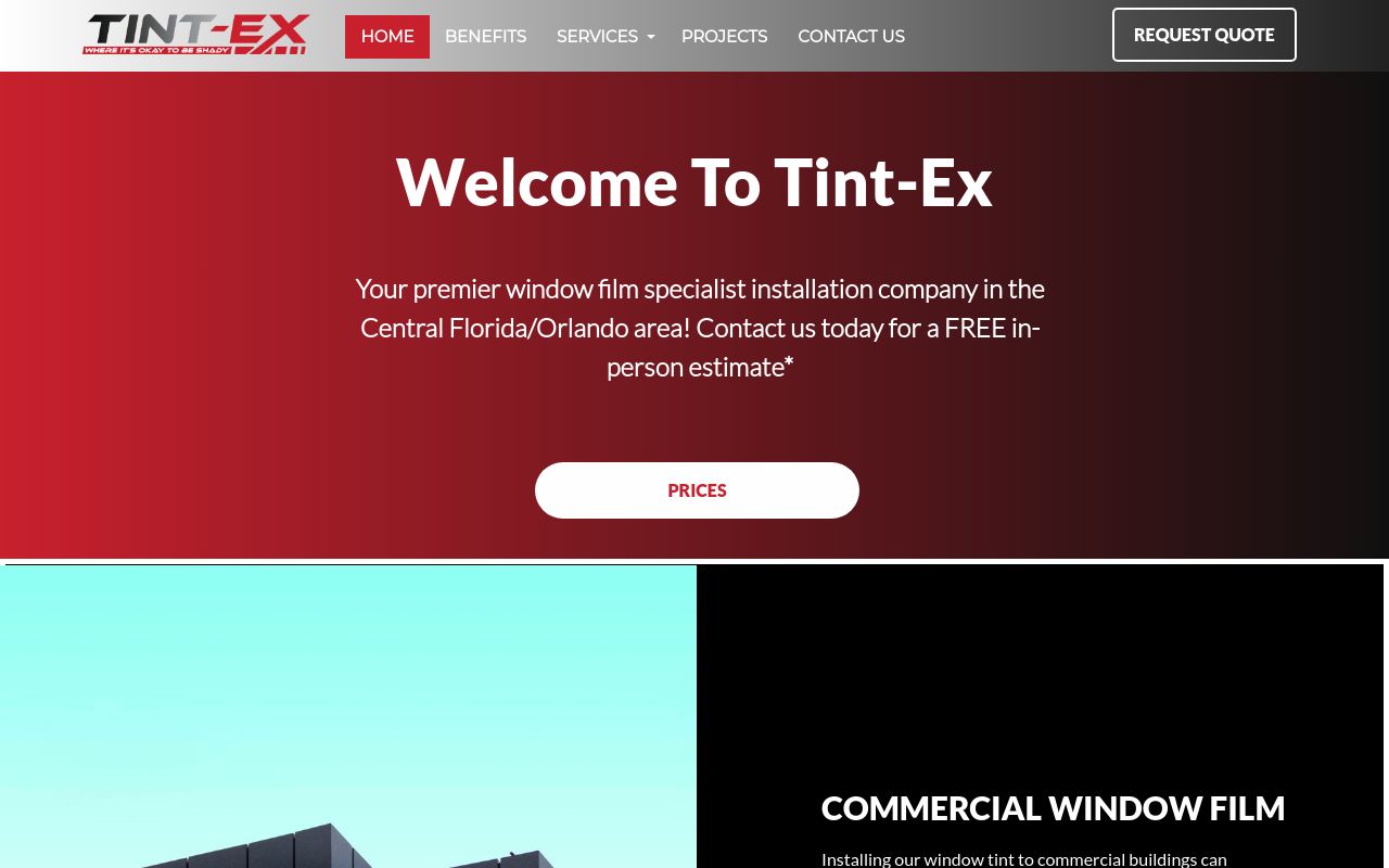 Homepage of Tint-Ex's website