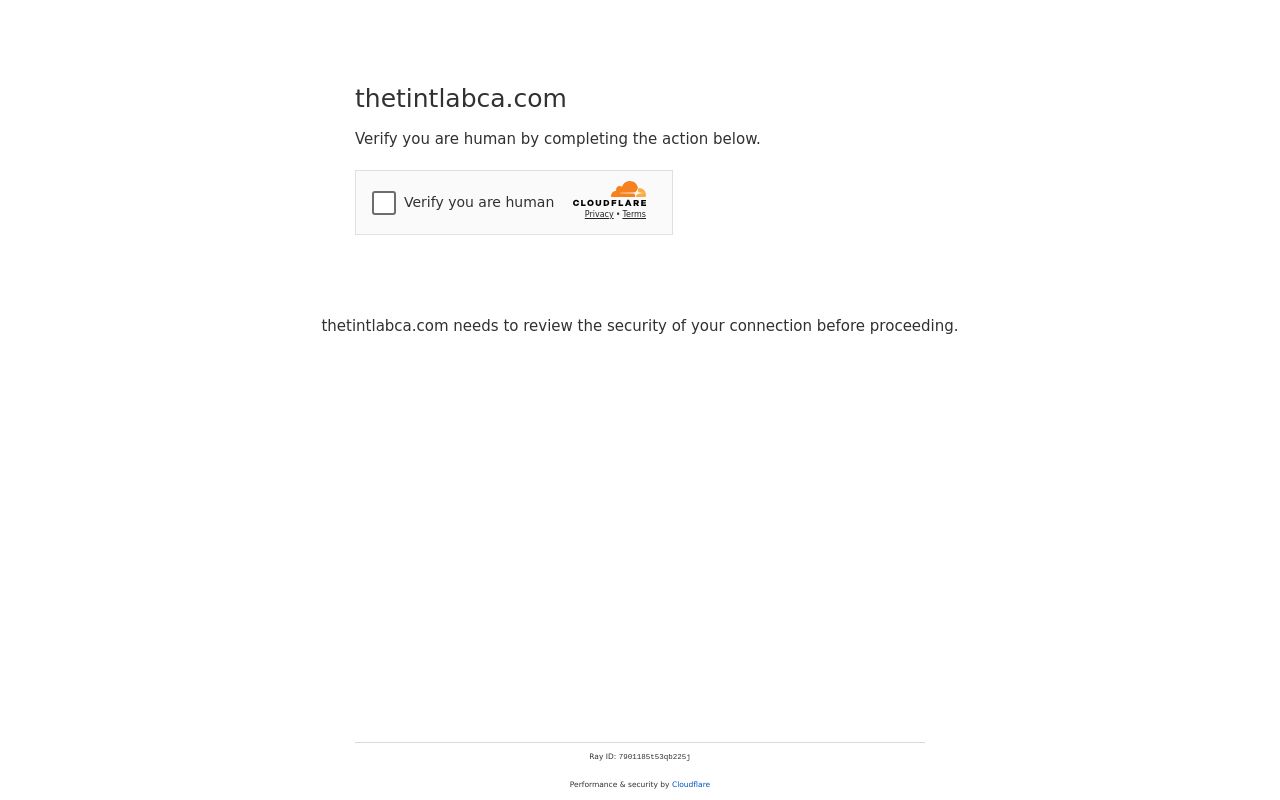 Homepage of The Tint Laboratory LLC's website