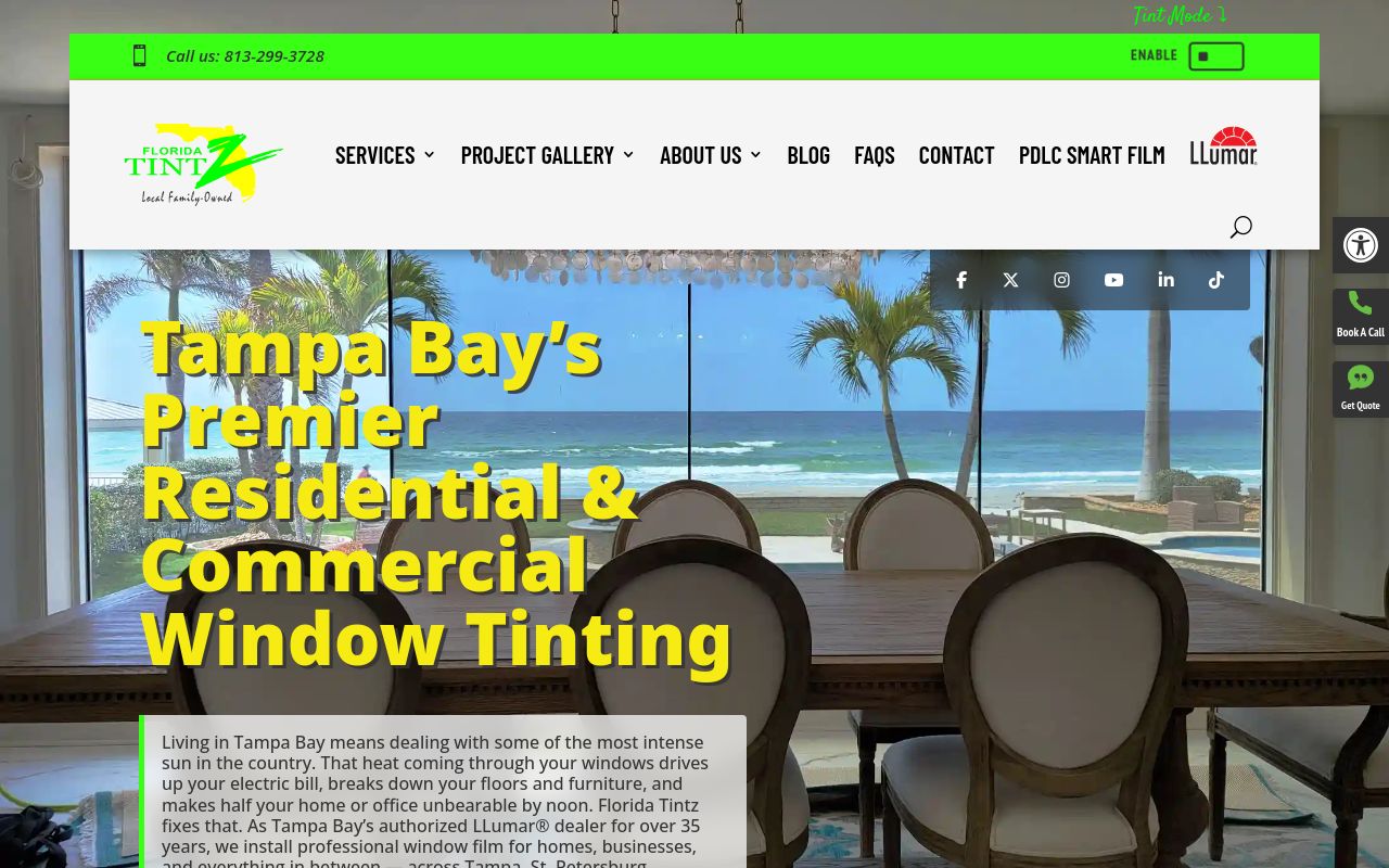 Homepage of Florida Tintz's website