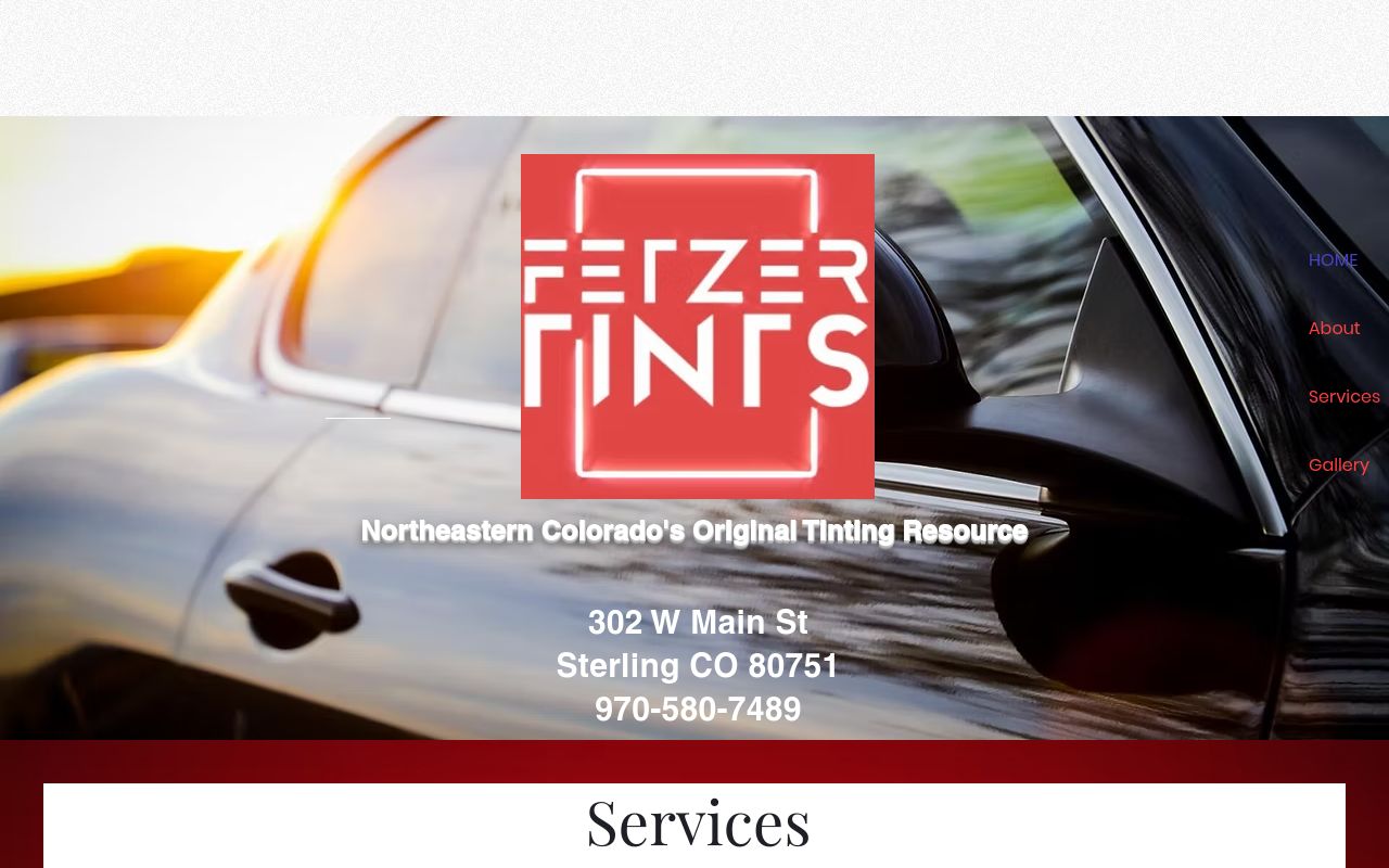 Homepage of FETZERTINTS's website